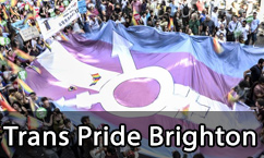 Trans Pride Brighton Flags